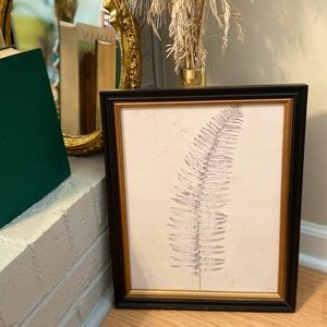 Fern framed print